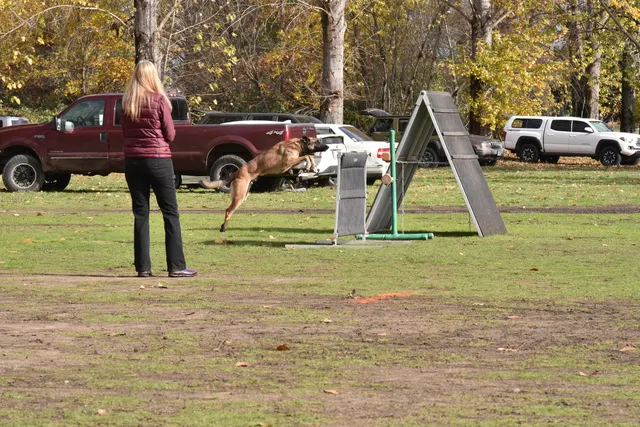 2017 RVSC fall Schutzhund trial — a working dog clearing the hurdle during a trial obedience exercise