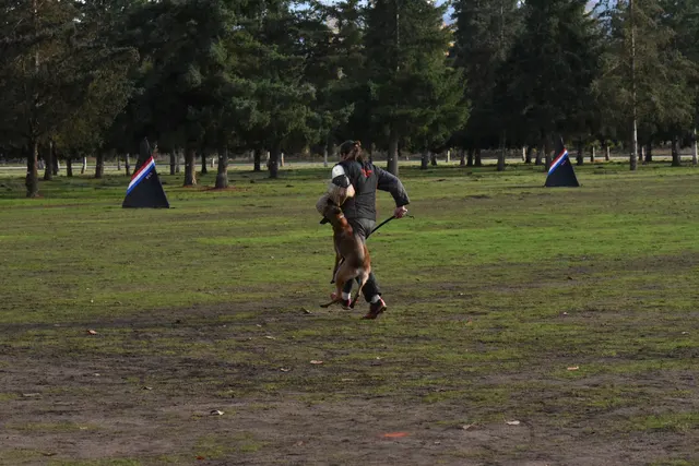 2017 RVSC fall Schutzhund trial — a working dog performing heeling during the obedience phase