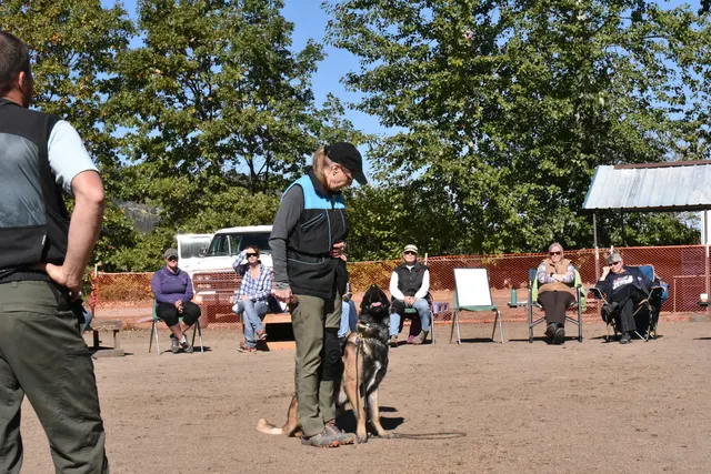 Forrest Micke Schutzhund seminar on October 14, 2017 — a black working dog and handler refining position and focus — photo 21