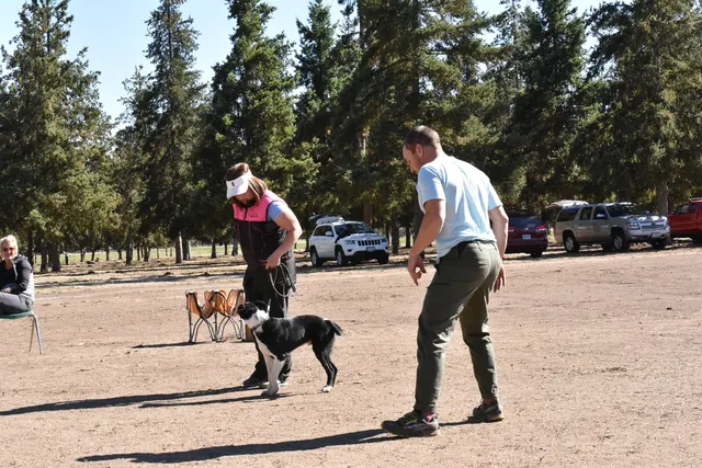 Forrest Micke Schutzhund seminar on October 14, 2017 — a black working dog and handler receiving seminar instruction — photo 22