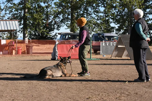 Forrest Micke Schutzhund seminar on October 14, 2017 — a handler practicing a down position while receiving seminar coaching — photo 02