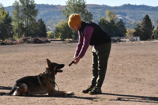 Forrest Micke Schutzhund seminar on October 14, 2017 — a handler using food guidance to shape an obedience position — photo 14