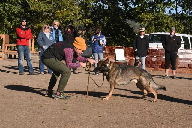 Forrest Micke Schutzhund seminar on October 14, 2017 — a handler building engagement and communication with a working dog — photo 04