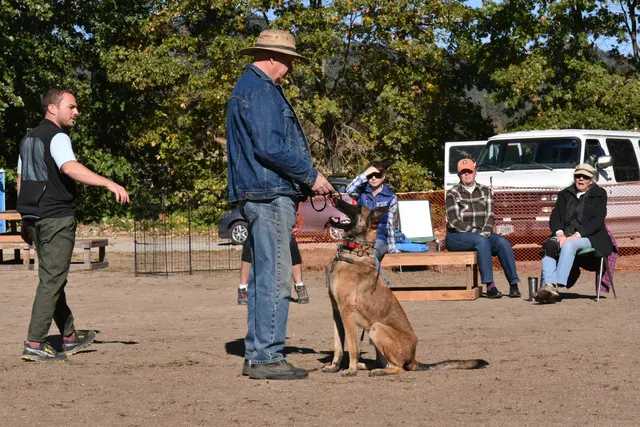 Forrest Micke Schutzhund seminar on October 14, 2017 — a dog-and-handler team practicing heel position and focus — photo 17