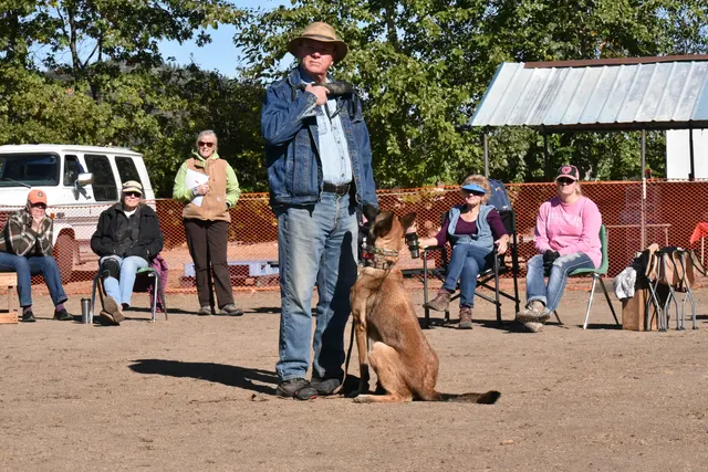 Forrest Micke seminar obedience and handler coaching with a working dog on October 14, 2017