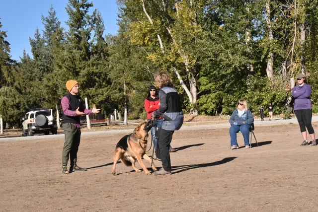 Forrest Micke Schutzhund seminar on October 14, 2017 — handler and dog receiving one-on-one obedience coaching — photo 07