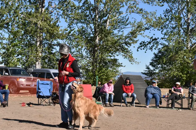 Forrest Micke Schutzhund seminar on October 14, 2017 — a working dog and handler completing an obedience exercise during the seminar — photo 25
