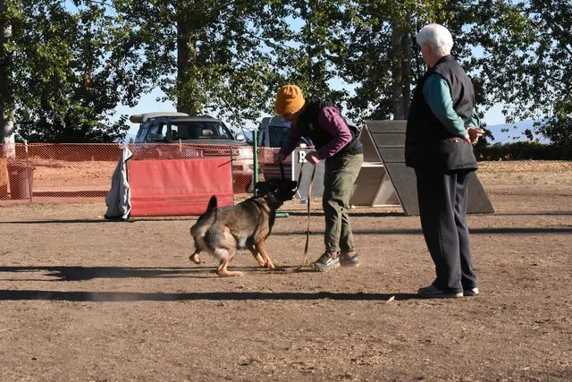 Forrest Micke Schutzhund seminar on October 14, 2017 — a working dog and handler practicing obedience positioning — photo 03