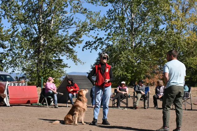 Forrest Micke Schutzhund seminar on October 14, 2017 — a working dog holding a sit position beside the handler — photo 24