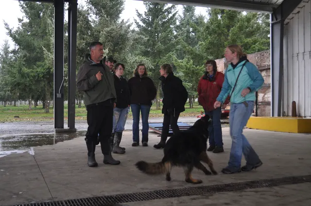 Working dog and handler during the John Riboni Schutzhund seminar in 2011 — photo 02