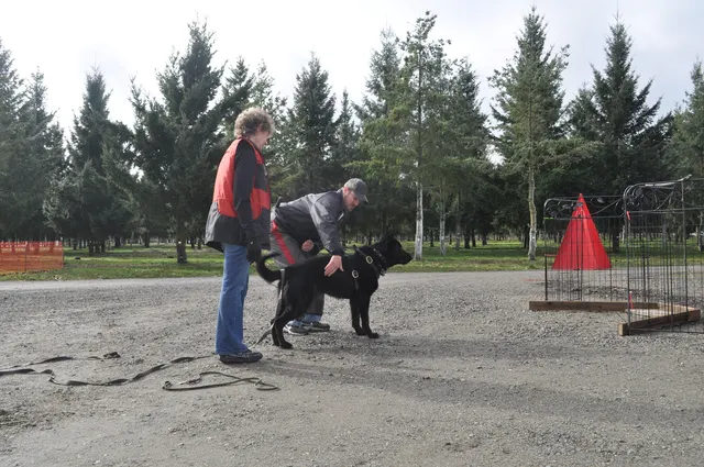 Working dog and handler during the John Riboni Schutzhund seminar in 2011 — photo 05