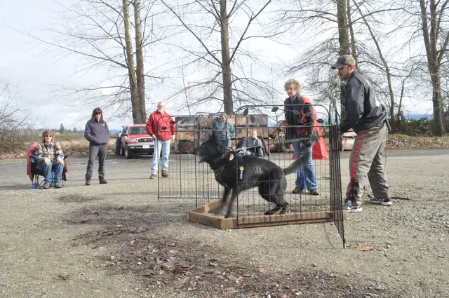 Working dog and handler during the John Riboni Schutzhund seminar in 2011 — photo 07