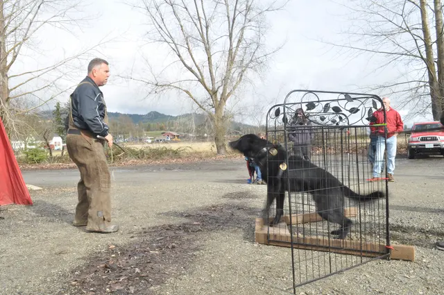 Working dog and handler during the John Riboni Schutzhund seminar in 2011 — photo 08