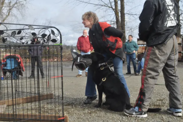 Working dog and handler during the John Riboni Schutzhund seminar in 2011 — photo 09
