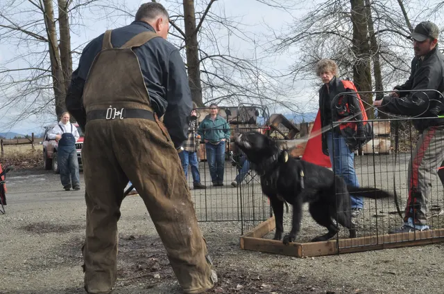 Working dog and handler during the John Riboni Schutzhund seminar in 2011 — photo 11