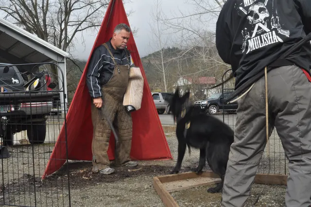 Working dog and handler during the John Riboni Schutzhund seminar in 2011 — photo 12