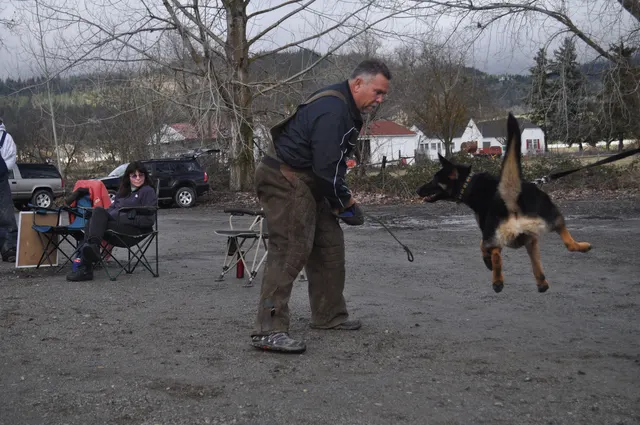 Working dog and handler during the John Riboni Schutzhund seminar in 2011 — photo 13
