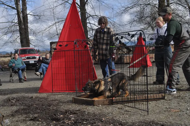 Working dog and handler during the John Riboni Schutzhund seminar in 2011 — photo 14