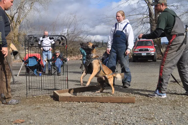 Working dog and handler during the John Riboni Schutzhund seminar in 2011 — photo 17