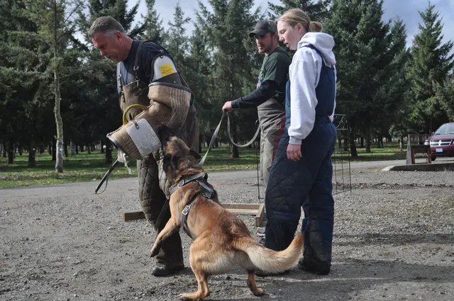 Working dog and handler during the John Riboni Schutzhund seminar in 2011 — photo 18