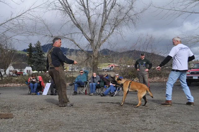 Working dog and handler during the John Riboni Schutzhund seminar in 2011 — photo 19
