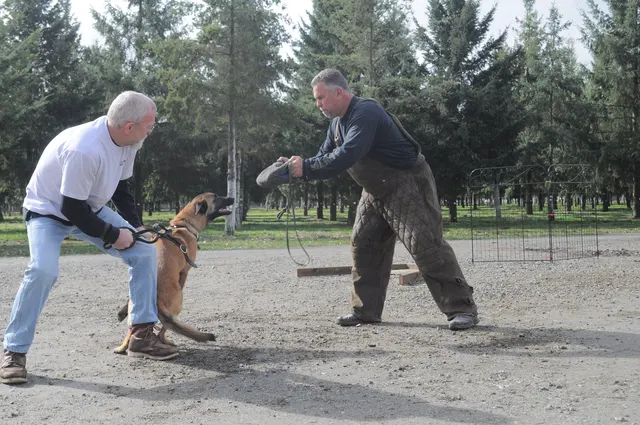 Working dog and handler during the John Riboni Schutzhund seminar in 2011 — photo 20