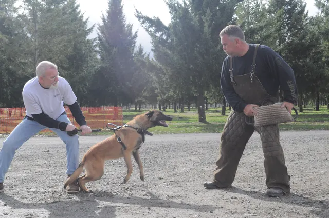 Working dog and handler during the John Riboni Schutzhund seminar in 2011 — photo 21