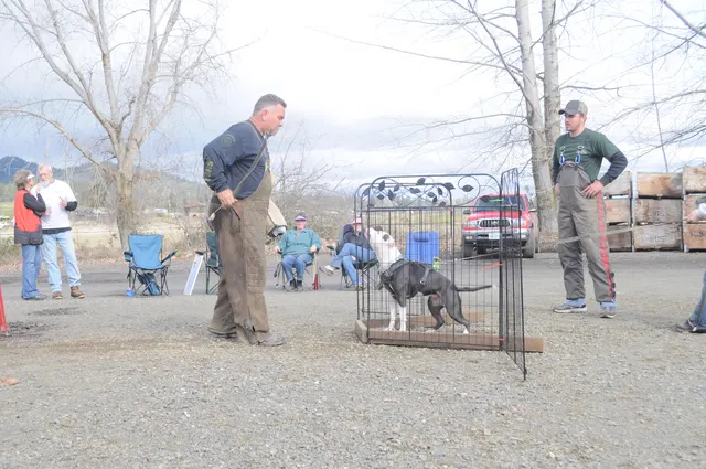 Working dog and handler during the John Riboni Schutzhund seminar in 2011 — photo 22