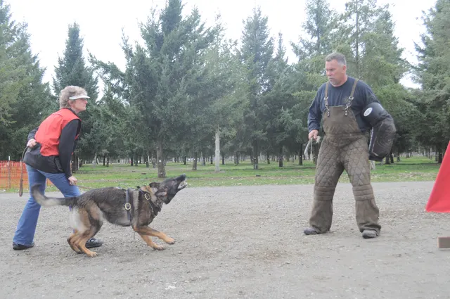 Working dog and handler during the John Riboni Schutzhund seminar in 2011 — photo 25