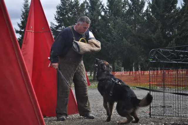 Working dog and handler during the John Riboni Schutzhund seminar in 2011 — photo 26