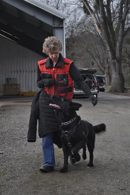 Working dog and handler during the John Riboni Schutzhund seminar in 2011 — photo 27