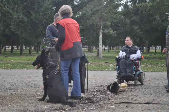Working dog and handler during the John Riboni Schutzhund seminar in 2011 — photo 28