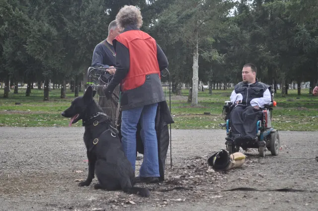 Working dog and handler during the John Riboni Schutzhund seminar in 2011 — photo 29