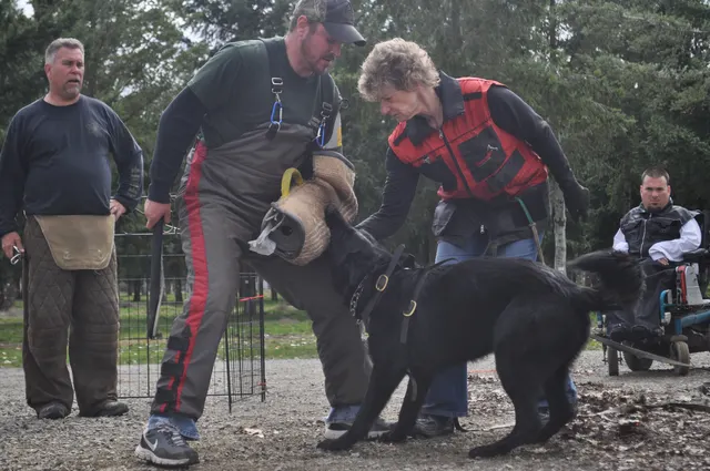 Working dog and handler during the John Riboni Schutzhund seminar in 2011 — photo 31