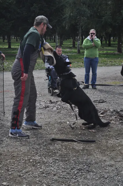 Working dog and handler during the John Riboni Schutzhund seminar in 2011 — photo 32