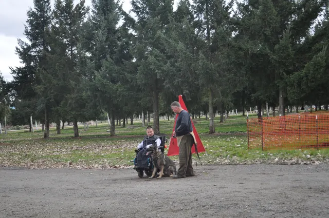 Working dog and handler during the John Riboni Schutzhund seminar in 2011 — photo 36