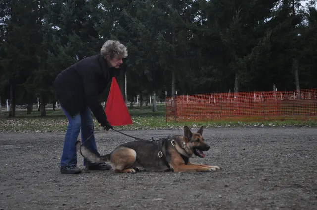Working dog and handler during the John Riboni Schutzhund seminar in 2011 — photo 39