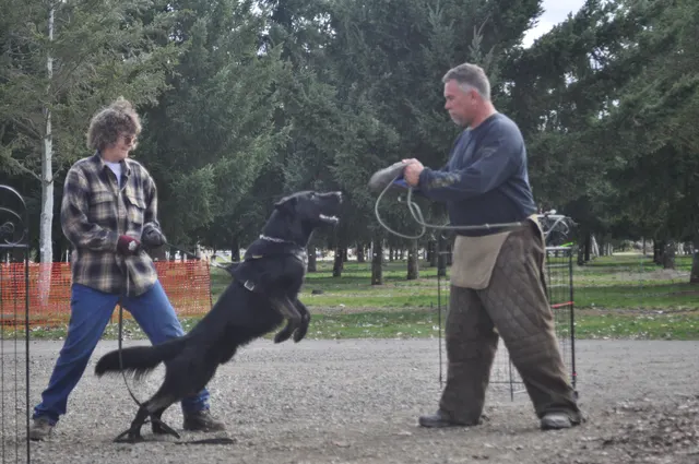Working dog and handler during the John Riboni Schutzhund seminar in 2011 — photo 43