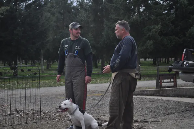 Working dog and handler during the John Riboni Schutzhund seminar in 2011 — photo 46