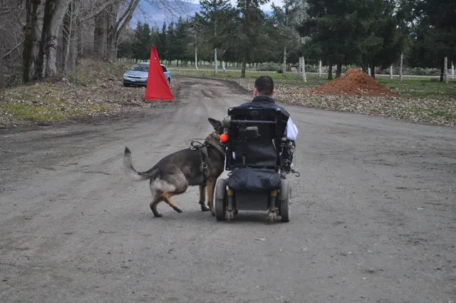 Working dog and handler during the John Riboni Schutzhund seminar in 2011 — photo 47