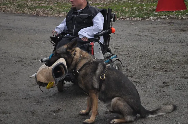 Working dog and handler during the John Riboni Schutzhund seminar in 2011 — photo 51