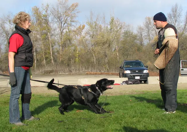 José Lopez Schutzhund Seminar — November 2008 — working-dog seminar photo 001