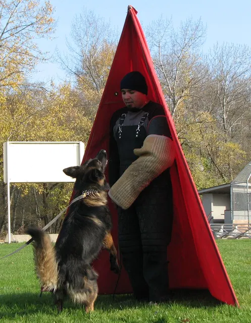 José Lopez Schutzhund Seminar — November 2008 — working-dog seminar photo 002