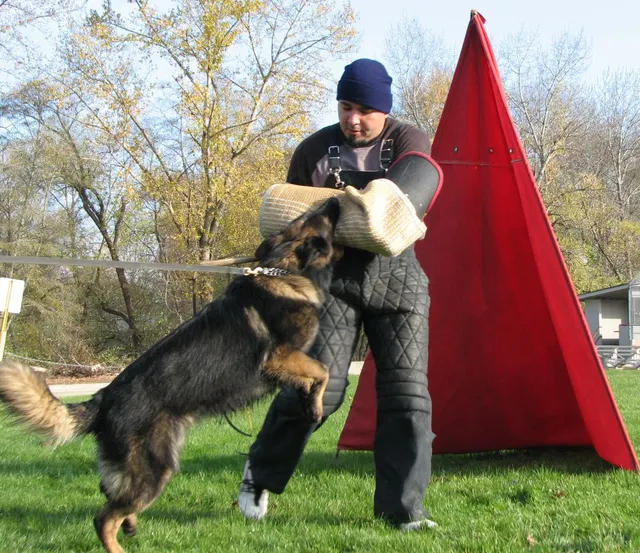 José Lopez Schutzhund Seminar — November 2008 — working-dog seminar photo 003