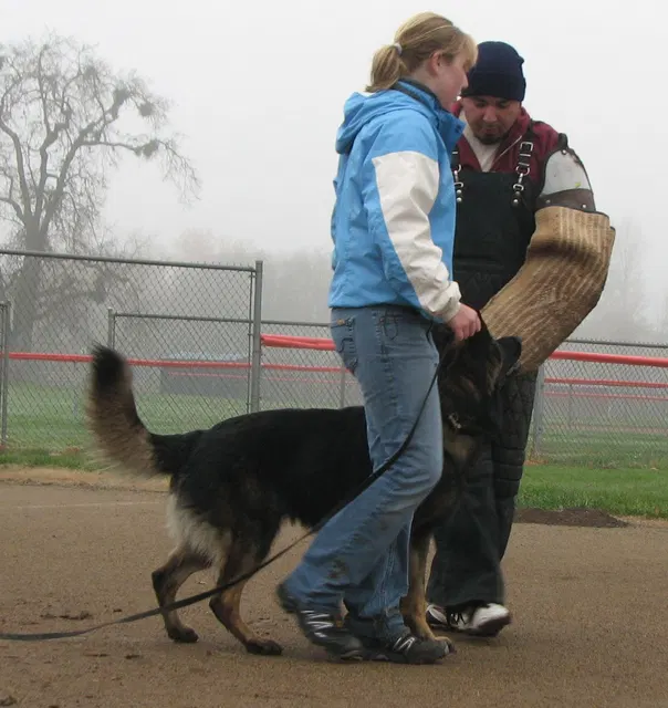 José Lopez Schutzhund Seminar — November 2008 — working-dog seminar photo 005