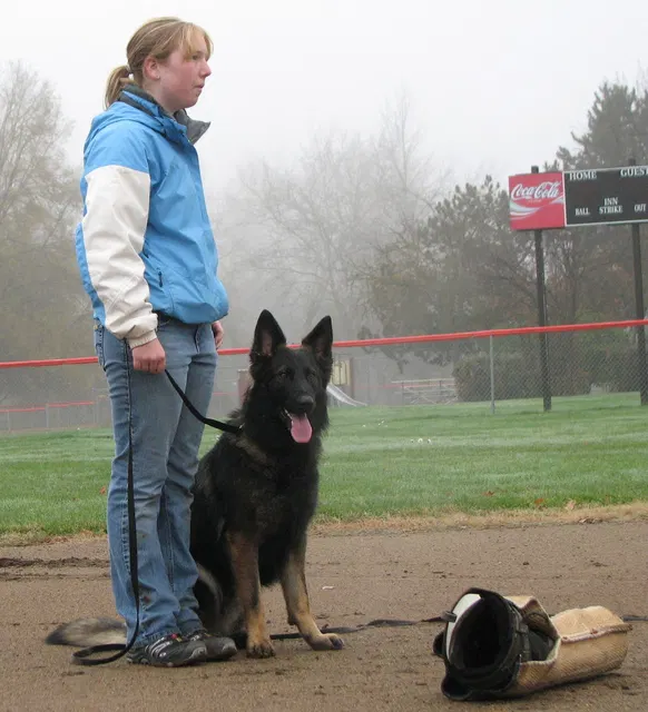 José Lopez Schutzhund Seminar — November 2008 — working-dog seminar photo 006