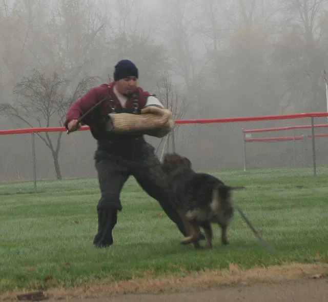 José Lopez Schutzhund Seminar — November 2008 — working-dog seminar photo 007
