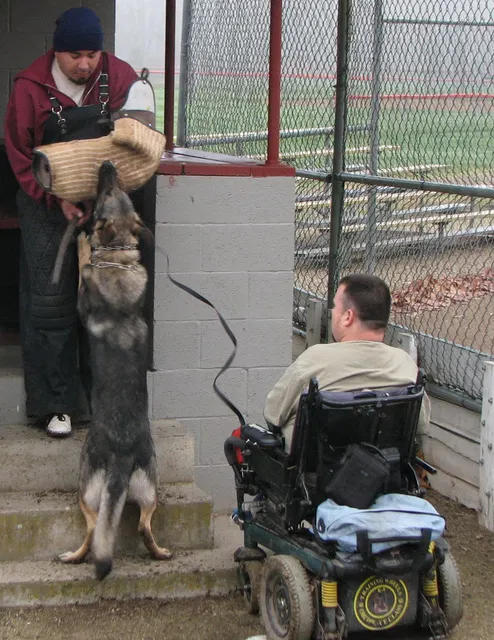 José Lopez Schutzhund Seminar — November 2008 — working-dog seminar photo 008