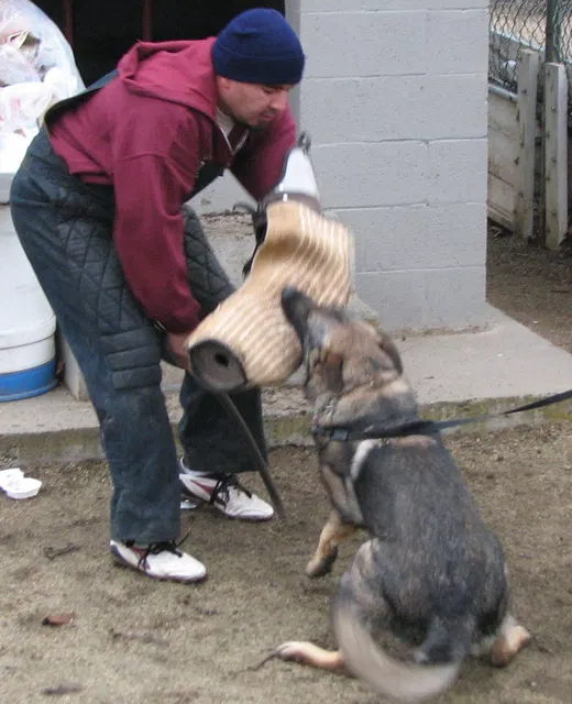José Lopez Schutzhund Seminar — November 2008 — working-dog seminar photo 009
