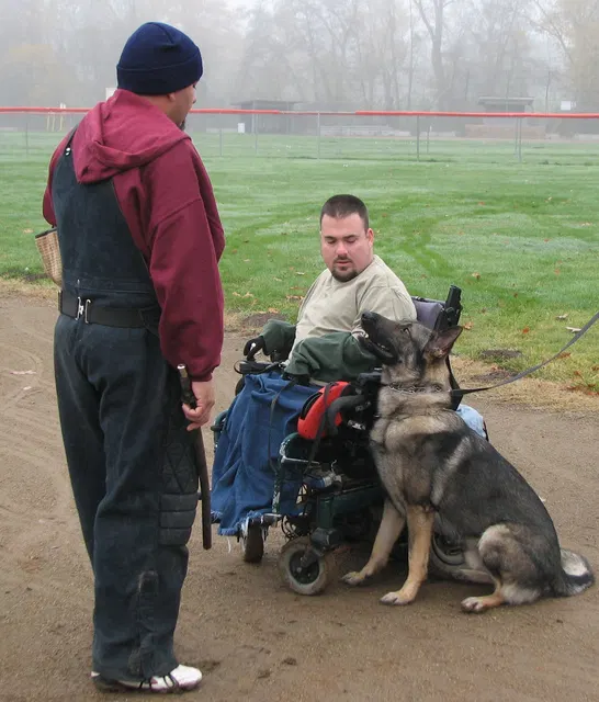 José Lopez Schutzhund Seminar — November 2008 — working-dog seminar photo 010